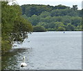 Broadwater Lake Nature Reserve in UB9 6JG