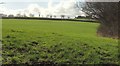 Field below South Bray in EX36 4HS