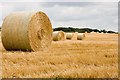 Straw bales in NR25 7DE