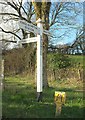 Signpost, Halswell Farm in EX36 4HS