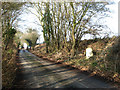 Section of the old A47 road in NR20 3SP
