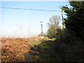 Communication mast beside the A47 road in NR20 3SP