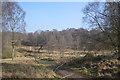 View across the Oldacre Valley towards the Glacial Boulder in ST17 0SS