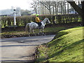 Pony and rider at junction of Chalkers and College Lanes in BN6 9JT