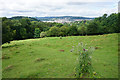 Hillside above Prior Park in BA2 5BJ