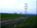 Path and Pylons near Wood Lane in S71 3FB