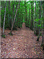 Footpath, Fittleworth Common in RH20 1EL