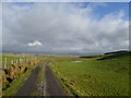 Track to Cairnhill in DG4 6LQ