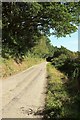 Lane past Blastridge Plantation in EX36 4EG