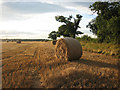 Bales at sunset alongside the B1149 in NR11 6RA
