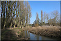 River Lark looking downstream in IP32 6NE