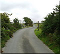 Lon Eithin Fynydd - a twisty country road in LL43 2AG