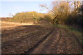 'Palladian Way' footpath approaching a copse in OX29 0RZ