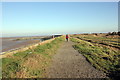Path through the Wirral Coastal Park in CH46 6JJ