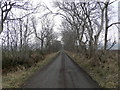 Tree lined farm road to Ledgertlaw in PH13 9LQ