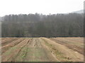 Stubble field near Manuelhaugh in EH49 6JW