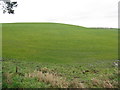 Green field at Cadgerford Bridge in KY4 8EY