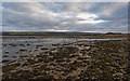 Low tide Ardroy Sand in IV16 9XJ