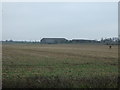 Flat farmland towards Gifford's Farm in PE27 4AE