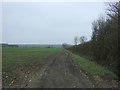 Farm track off the A1123 in Holywell-cum-Needingworth