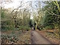 Footpath on Wimbledon Common in SW15 3DX