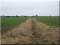 Dry drain, Middle Fen in CB24 5LS