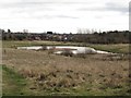 Pond, Rising Sun Country Park in NE12 9SS