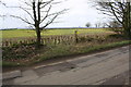 Isolated gatepost beside road with solar panel farm in background in OX18 3PA