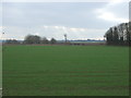 Young crop field near Histon in CB24 9PX