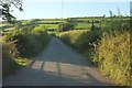 Lane in the Yeo valley in EX36 3PS