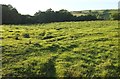 Field by Bottreaux Mill in EX36 3PS