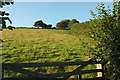 Hillside above the Yeo valley in EX36 3NJ