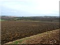 Woodland and Ploughed Field near Worsbrough Park in S70 5YX