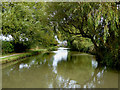 The Ashby Canal west of Dadlington, Leicestershire in CV13 6DQ