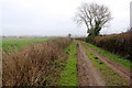 Track at Muston Field Barn in DT11 9HD