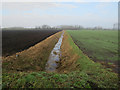 Ditch off Steel's Drove in PE38 0LE