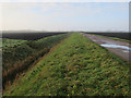 Ditch by Steel's Drove in PE38 0LE