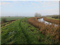 River Wissey in PE38 0LE