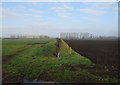Ditch off Steel's Drove in PE38 0JR