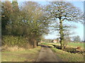 Country Road in CO9 2RR
