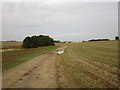 Former bridleway to Folkingham in Lenton Keisby and Osgodby