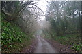 Wraxall Lane leading down to Chilfrome in DT2 0GA