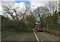 Tree down on the A448 near Chaddesley Corbett in DY10 4QT