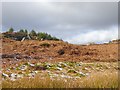 Rocks above Little Wanney Crag in NE48 2EY