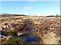 The path from Sweethope Lough to Great Wanney Crag in NE19 2PN