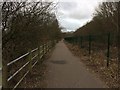 Footpath Along Twig Wood, Sankey Valley Park in WA5 9YX