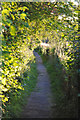 Footpath to church, Barton Stacey in SO21 3RF