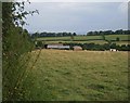 Farm buildings at Chapel Marsh in DT8 3SH