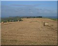 Straw bales alongside the A35 in DT2 9AG