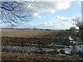 Ploughed Field Between Shafton and Brierley in S72 8RB